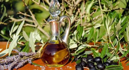 Olivos, aceite y aceitunas