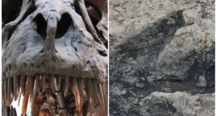 Increíble hallazgo de huellas de dinosaurio tras la grave sequía en Texas