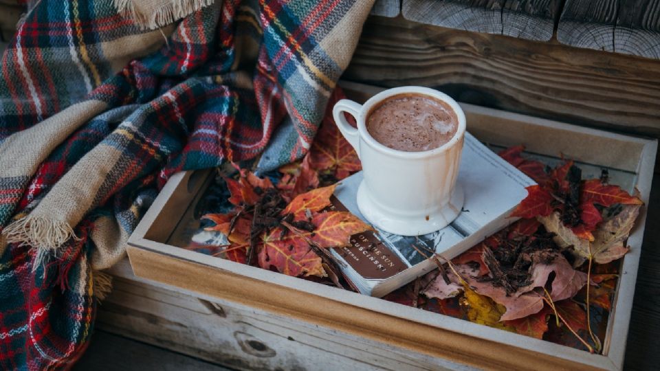 Desde tiempos prehispánicos el cacao ha tenido un papel importantísimo en la cultura y gastronomía del México.