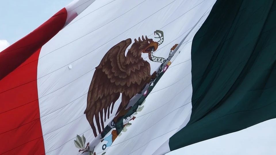 Bandera de México / Ilustración