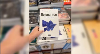 Golondrinas, el libro de Emiliano Ruiz Parra