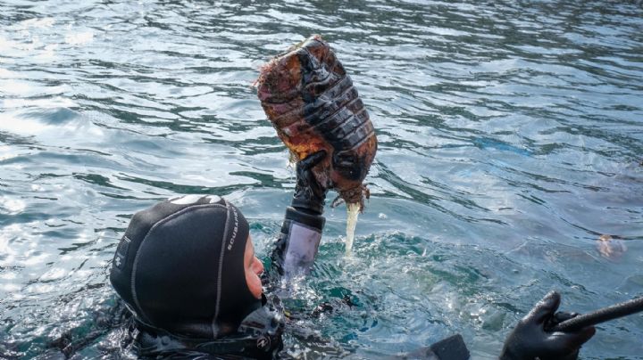 En Portugal logran dos récords Guinness por limpiar el mar y exposición submarina
