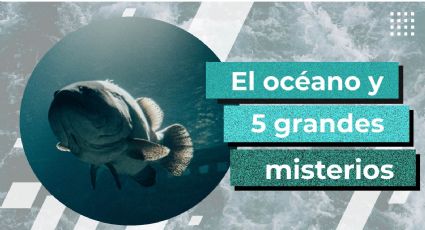 Cinco misterios más populares del océano