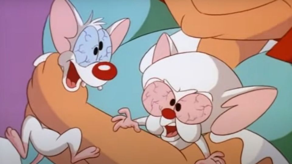 Pinky y Cerebro se transmitió por primera vez en Kids’ WB.