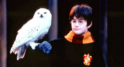Harry Potter; anuncian posible reboot de esta franquicia mágica