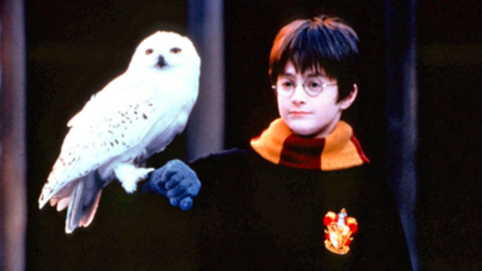 El estreno de ‘Harry Potter y la Piedra Filosofal’ en noviembre de 2001 llevó a una nueva dimensión el universo mágico creado por J.K. Rowling.