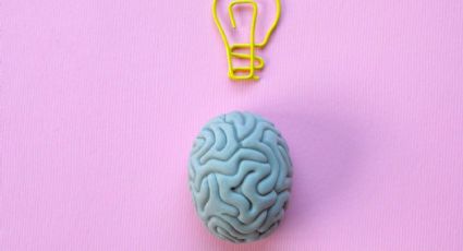 El cerebro puede crear recuerdos más rápido de lo que creemos, según estudio
