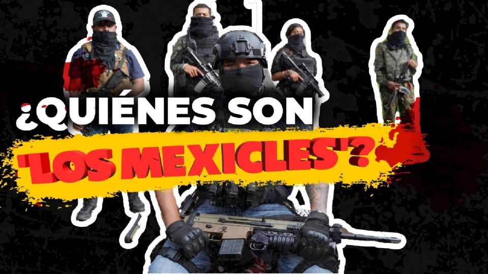 'Los Mexicles', la banda criminal que creció al amparo del poder político