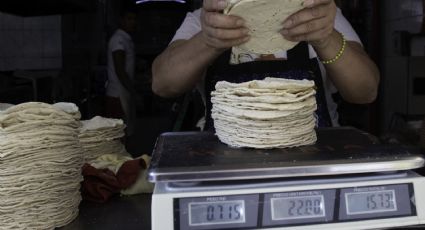 México impone aranceles en el maíz blanco para controlar el precio de la tortilla