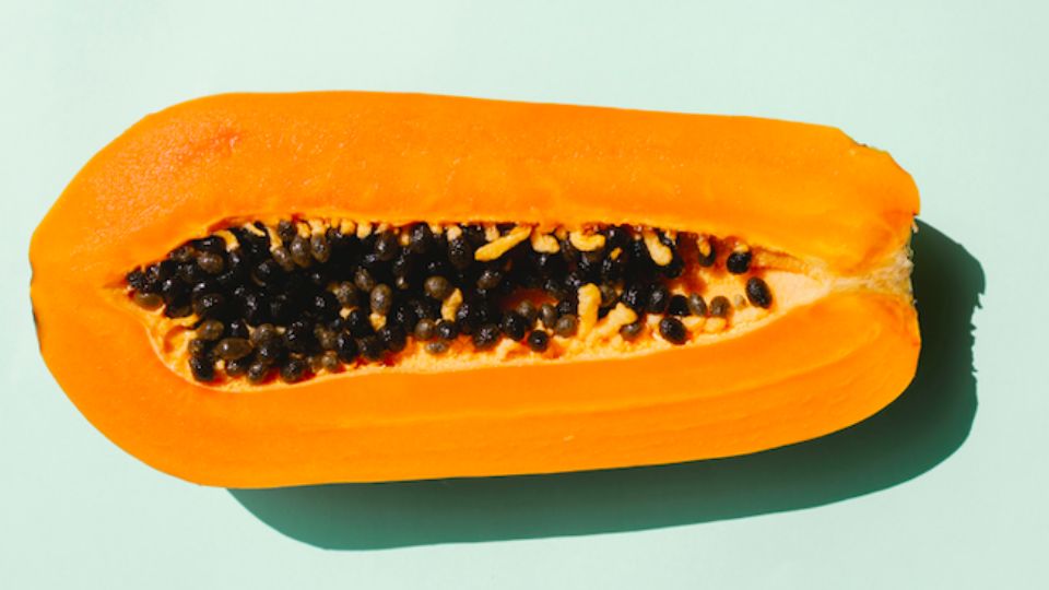 La papaya está compuesta por agua, hidratos de carbono y papaína, la cual es una enzima que ayuda a digerir las proteínas.