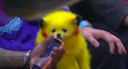Perrito Pikachu causa indignación en redes sociales y tunden al dueño: VIDEO