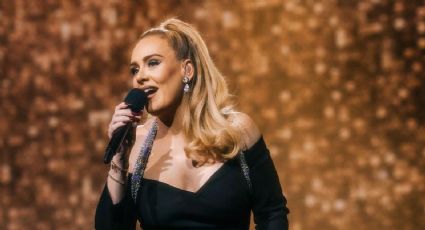 La cantante británica Adele, defiende a un fan en uno de sus conciertos