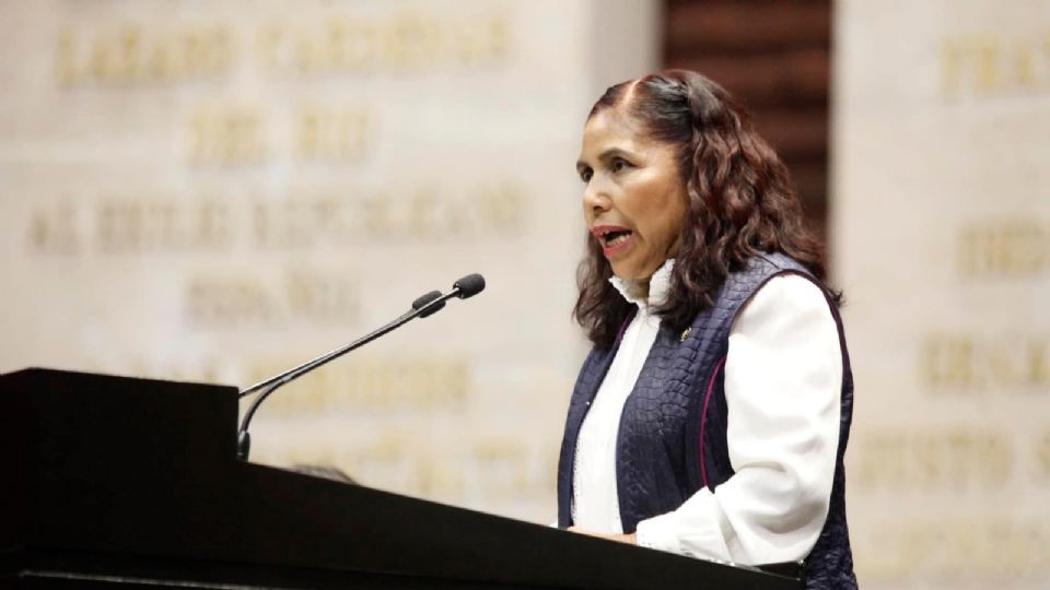 Graciela Sánchez, diputada federal por Morena.