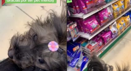 ¿Waldo’s se volvió PetFriendly? Así es como una usuaria entró a la tienda con su perrita | VIDEO