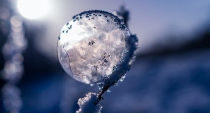 Qué son las Flores de Hielo que fueron captadas en el río de Siberia