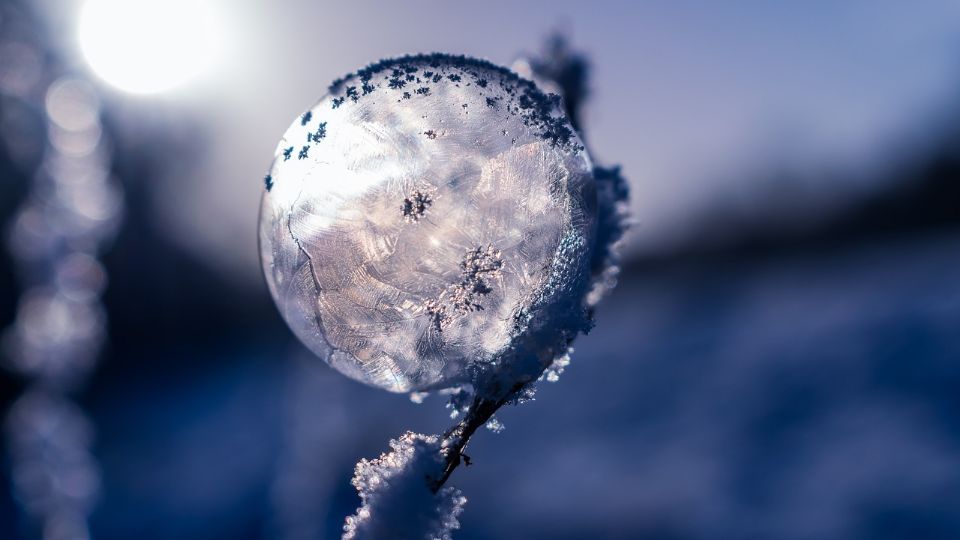 Qué son las Flores de hielo que fueron captadas en el río de Siberia