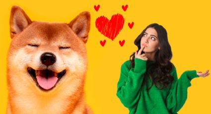 5 cosas que demuestran que un perro se siente realmente amado