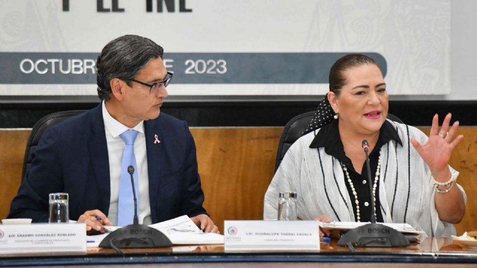 Guadalupe Taddei, consejera presidenta del INE.