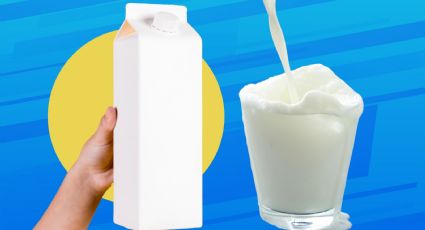 Esta es la marca de leche que tiene más proteína, según estudio de la Profeco