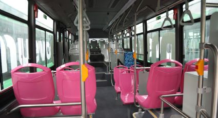 Gobierno de Nuevo León presenta nuevos camiones con espacios rosas
