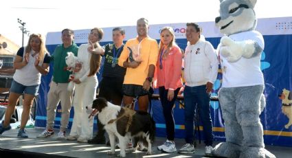 Coyoacán concluye con éxito el Segundo Maratón Canino 2023