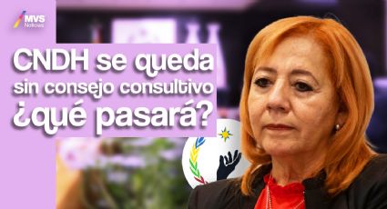 Rosario Piedra nunca nos respaldó: Ex consejeros consultivos