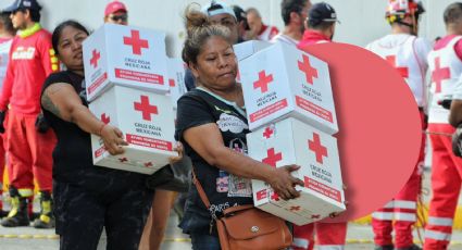 365 toneladas de ayuda han sido entregadas por la Cruz Roja Mexicana en Guerrero: Carlos Freaner