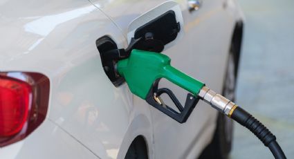 Conoce los autos que consumen menos gasolina por kilómetro en 2023