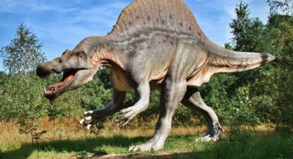 Estudian nueva hipótesis que originó la extinción de los dinosaurios en México ¿sí fue un asteroide?