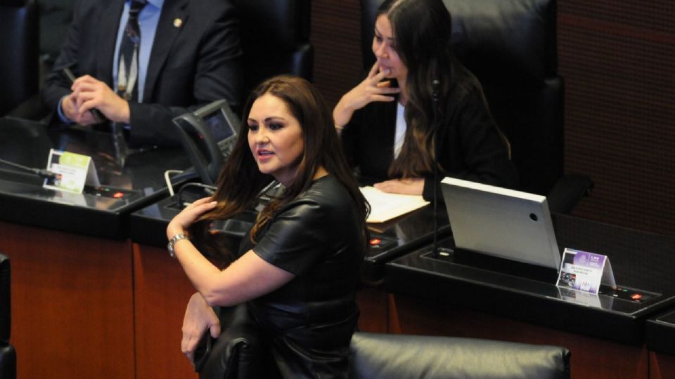 Geovanna Bañuelos, senadora del PT, durante la sesión de este miércoles.