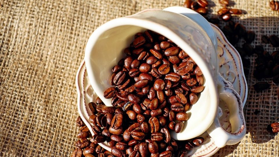 Este es el mejor café descafeinado soluble que puedes comprar y que está avalado por la Profeco.