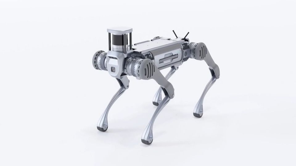 El perro robot Unitree B2, capaz de soportar hasta 40 kg y caminar en cualquier tipo de entorno.