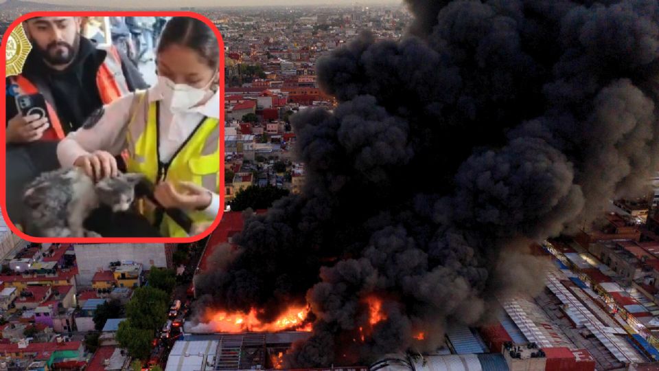 Bomberos de la capital intentan apagar el incendio en una bodega de Tepito.