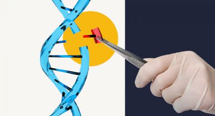 Aprueban Casgevy, el revolucionario tratamiento de edición genética CRISPR