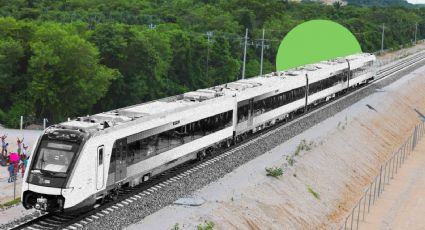 'Construcción del tren en Sonora inicia sin estudio de impacto ambiental': Óscar Leonardo Chávez