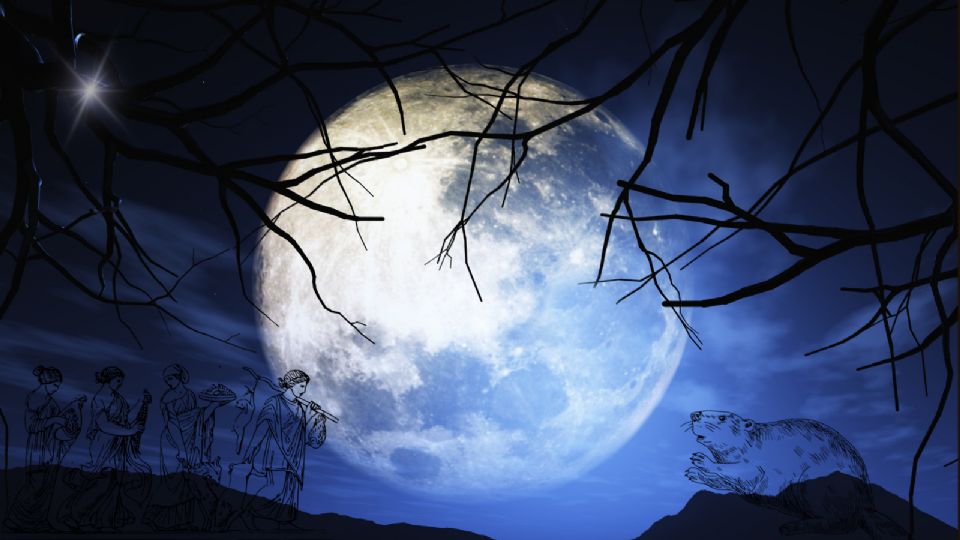 Imagen ilustrativa:Luna de Castor.