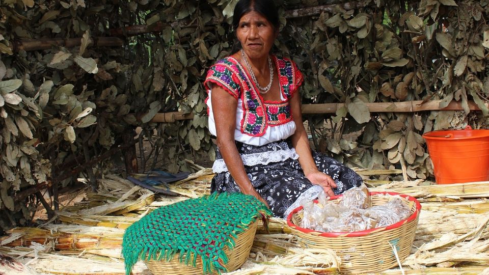 Mujer indígena mexicana en la época actual.