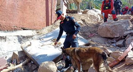 Acuden binomios caninos de PBI a Acapulco para búsqueda de personas desaparecidas