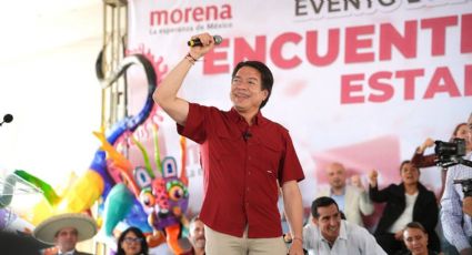 Mario Delgado rechaza favoritismos en la elección de coordinadores en Morena