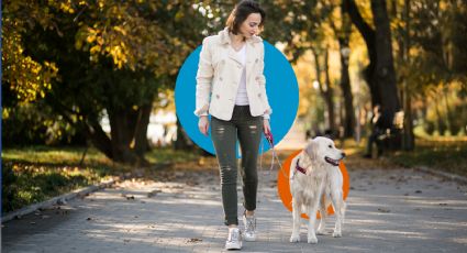 ¿Cuántas veces debes sacar a pasear a tu perro para cuidar su salud?