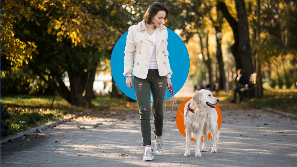 Los paseos con tu mascota pueden tener importantes beneficios para su salud.