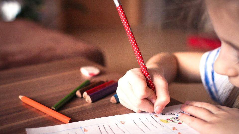 Universidad de Harvad revela los hábitos para mejorar el rendimiento escolar de los niños