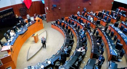 Ana Lilia Rivera cita a senadores a acudir a la apertura del nuevo periodo ordinario de sesiones