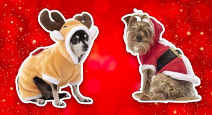 Estos son los mejores trajes navideños para tu mascota en Coppel