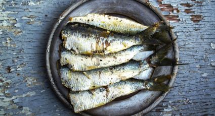 ¿Los suplementos de aceite de pescado son una estafa? Universidad de Harvard revela impactante estudio
