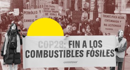 COP28: Jóvenes representantes de México revelan sus expectativas a favor del medio ambiente