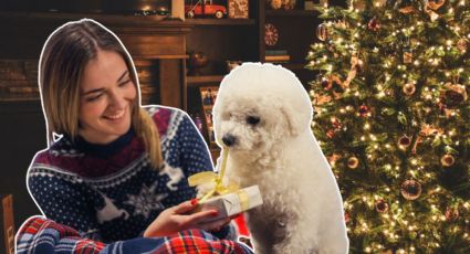 ¿Qué regalar a tu mascota en Navidad? Descubre 8 ideas para perros y gatos