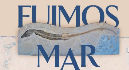3 Museos presenta exposición 'Fuimos Mar': Conoce precios y fechas