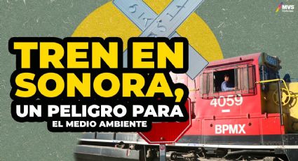 Tren en Sonora preocupa por su impacto en ecosistemas frágiles