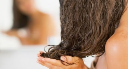 5 Mascarillas caseras fáciles para poder eliminar el frizz del cabello